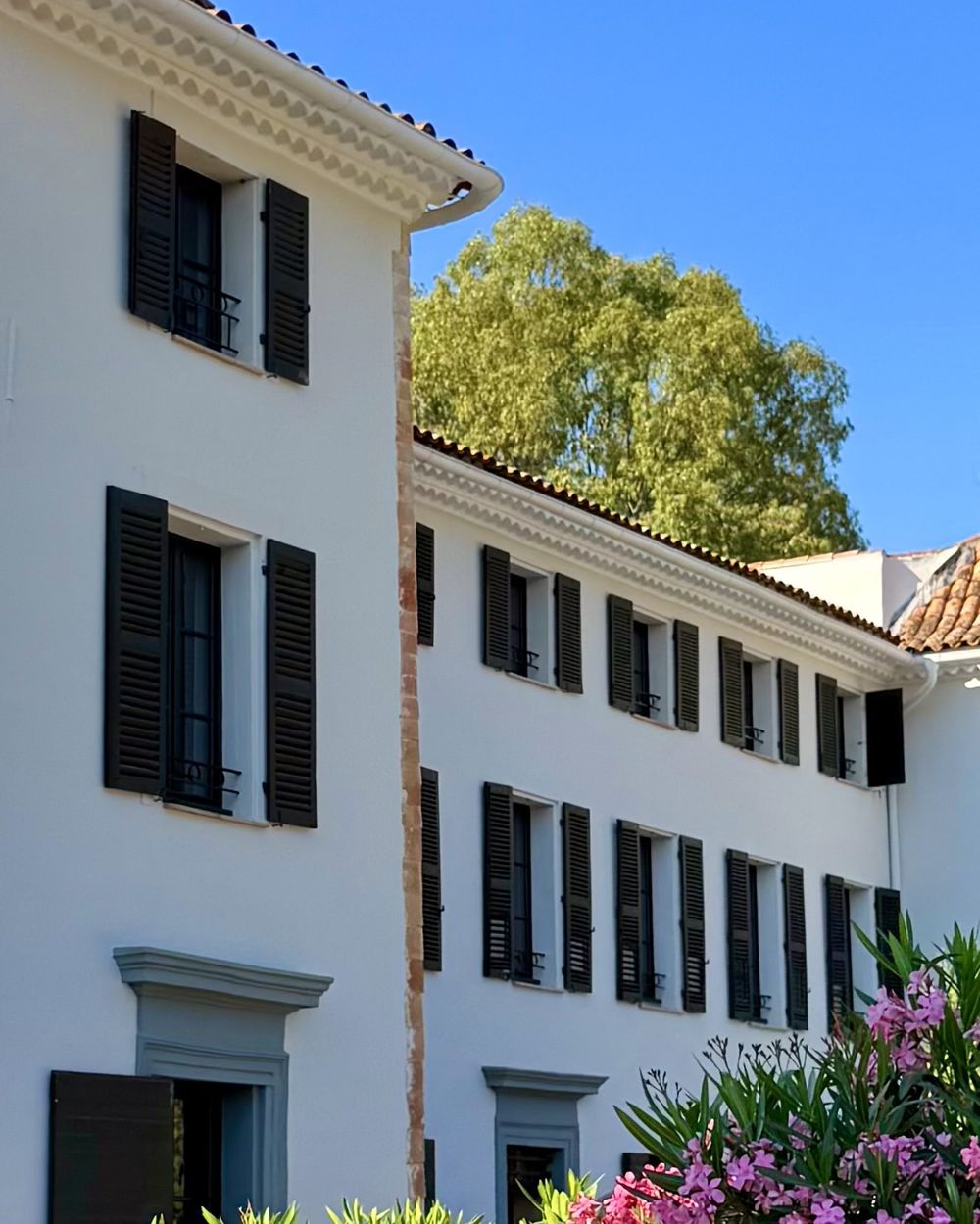 Bastide provençale aux lauriers-roses, lieu de réception